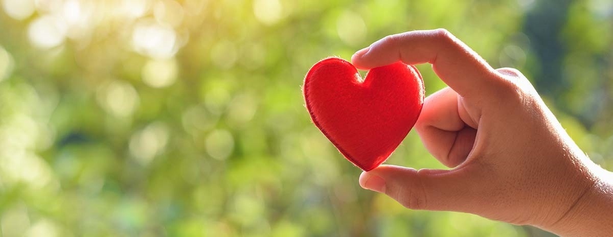 Women's Heart Health Webinar Series